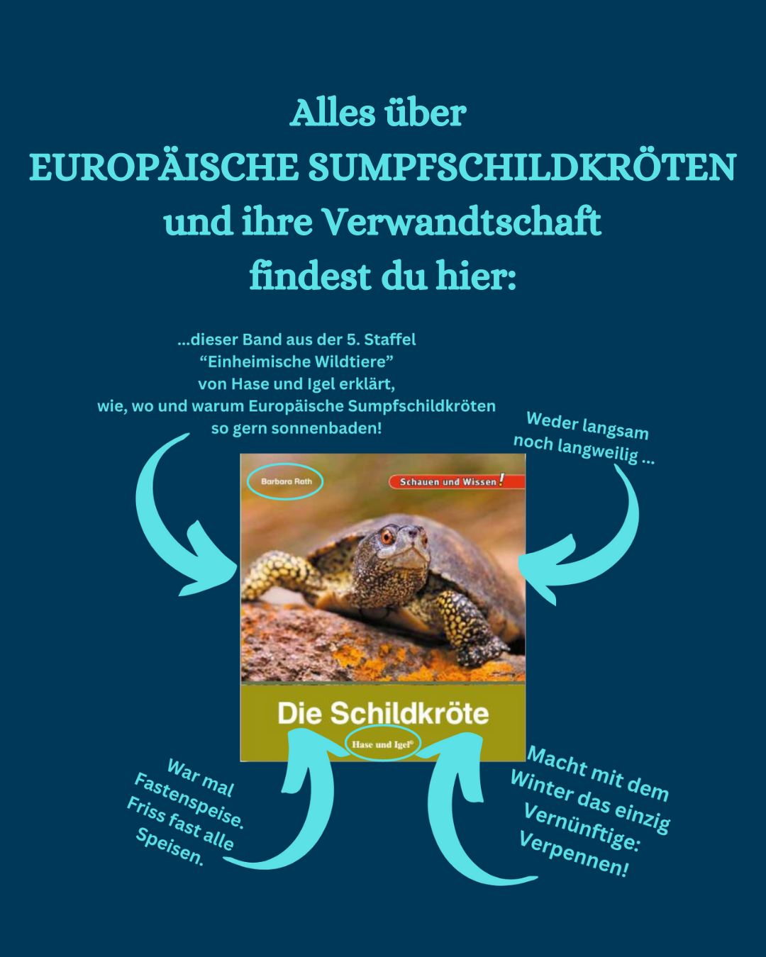 Cover des Bandes "Die Schildkröte" von Barbara Rath mit HInweisen auf den Inhalt. Text: Alles über  Europäische Sumpfschildkröten und ihre Verwandtschaft findest du hier:
