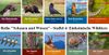 Kindersachbuch Reihe Natur