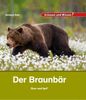 Kindersachbuch Natur Braunbär