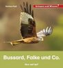 Buchcover Kindersachbuch Bussard, Falke und Co. von Autorin Barbara Rath