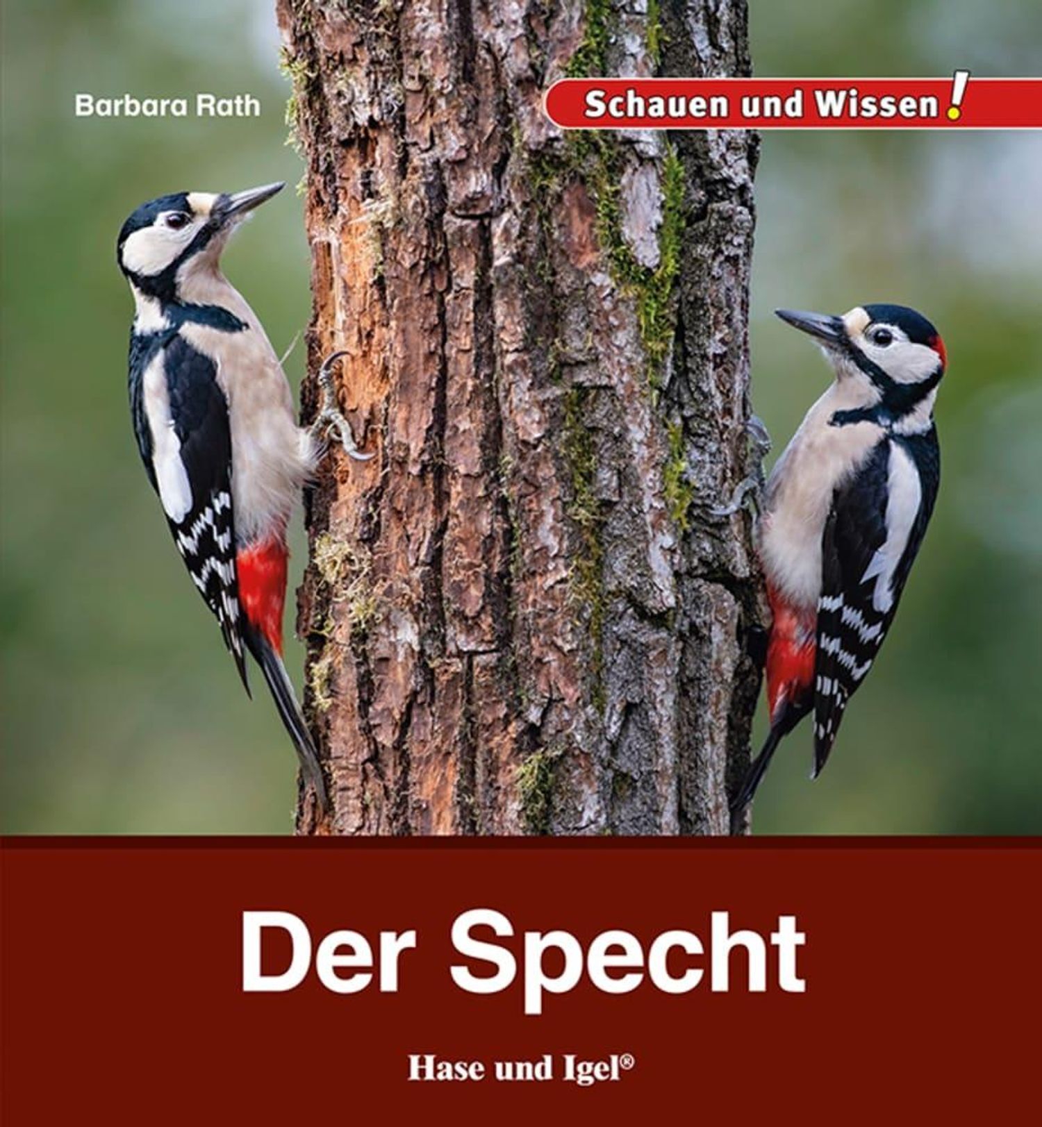 cover-der-specht von Barbara rath