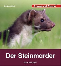 Buchcover Kindersachbuch Der Steinmarder von Autorin Barbara Rath