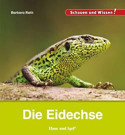 Buchcover Kindersachbuch Die Eidechse von Autorin Barbara Rath