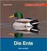Kindersachbuch Natur Enten