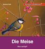 Kindersachbuch Natur Meise