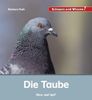 Buchcover Kindersachbuch Die Taube von Autorin Barbara Rath