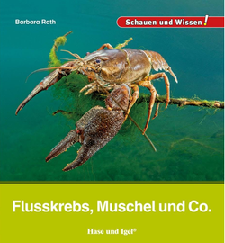 Buchcover Kindersachbuch Flusskrebs, Muschel & Co. von Autorin Barbara Rath
