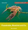 Kindersachbuch Natur im Fluss