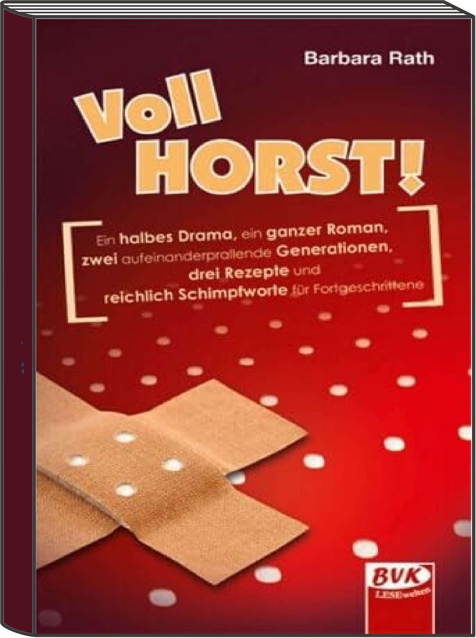 cover-kinderroman-vollhorst-als-taschenbuchausgabe-transparent