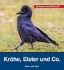 Buchcover Kindersachbuch Kr&auml;he, Elster & Co. von Autorin Barbara Rath