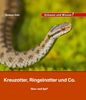 Kindersachbuch Natur Kreuzotter, Ringelnatter und Co.
