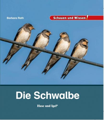 Kindersachbuch Natur Schwalben