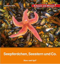 Buchcover Kindersachbuch Seepferdchen, Seestern und Co. von Autorin Barbara Rath