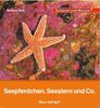 Seepferdchen Kinderbuch
