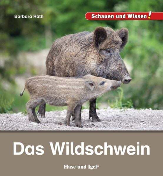 Cover von das-wildschwein-gebundene-ausgabe-barbara-rath