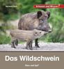 Buchcover Kindersachbuch Das Wildschwein von Autorin Barbara Rath