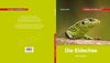 Kinderbuch Eidechse