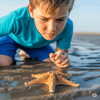 Strandabenteuer mit Sternenform – entdecke faszinierende Meerestiere im Band „Seepferdchen, Seestern & Co.“ 🐠🌟 Ein Kind kniet am Meeresufer und betrachtet mit großer Neugier einen Seestern, der auf nassem Sand liegt. Die Szene zeigt den Zauber unmittelbarer Naturbeobachtung – ein ideales Motiv zum Kinder-Sachbuchband „Seepferdchen, Seestern & Co.“ aus der Reihe „Schauen & Wissen – Einheimische Wildtiere“, der spannende Infos über faszinierende Lebewesen im Küstenbereich vermittelt.