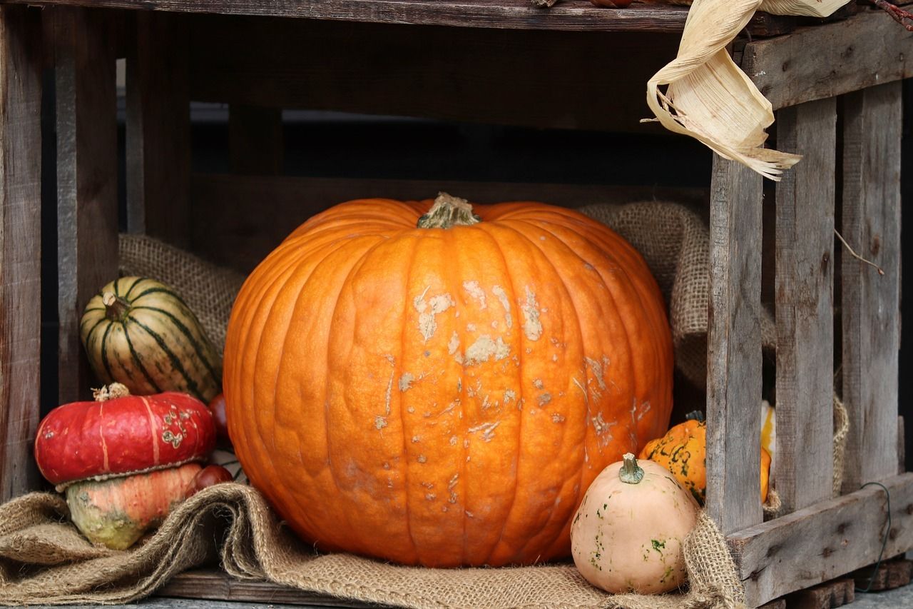 Kinder Halloween Lesen