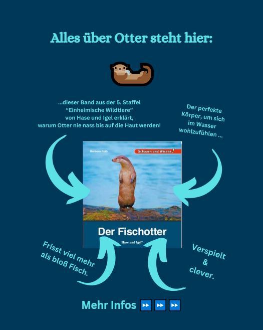 Photo by @barbara.rath_barbara.namor on July 31, 2025. Bild vom Cover der Buches „Der Otter“ Verlag Hase und Igel, und Text „Alles über Otter steht hier: ...dieser Band aus der 5. Staffel "Einheimische Wildtiere von Hase und Igel erklärt, warum Otter nie nass bis auf die Haut werden! Der perfekte Körper, um sich im Wasser wohlzufühlen. Verspielt & Verspielt clever.“ 