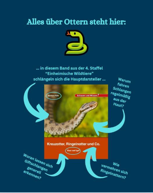 Photo by @barbara.rath_barbara.namor on July 31, 2025. Bild vom Cover des Bandes „Kreuzotter, Ringelnatter & Co.“ vom Verlag Hase und Igel. Text: ...in diesem ..in diesem Band aus der 4. Staffel "Einheimische Wildtiere" schlängeln sich die Hauptdarsteller. Warum fahren Schlangen regelmäßig aus der Haut? Woran lassen sich Giftschlangen erkennen?