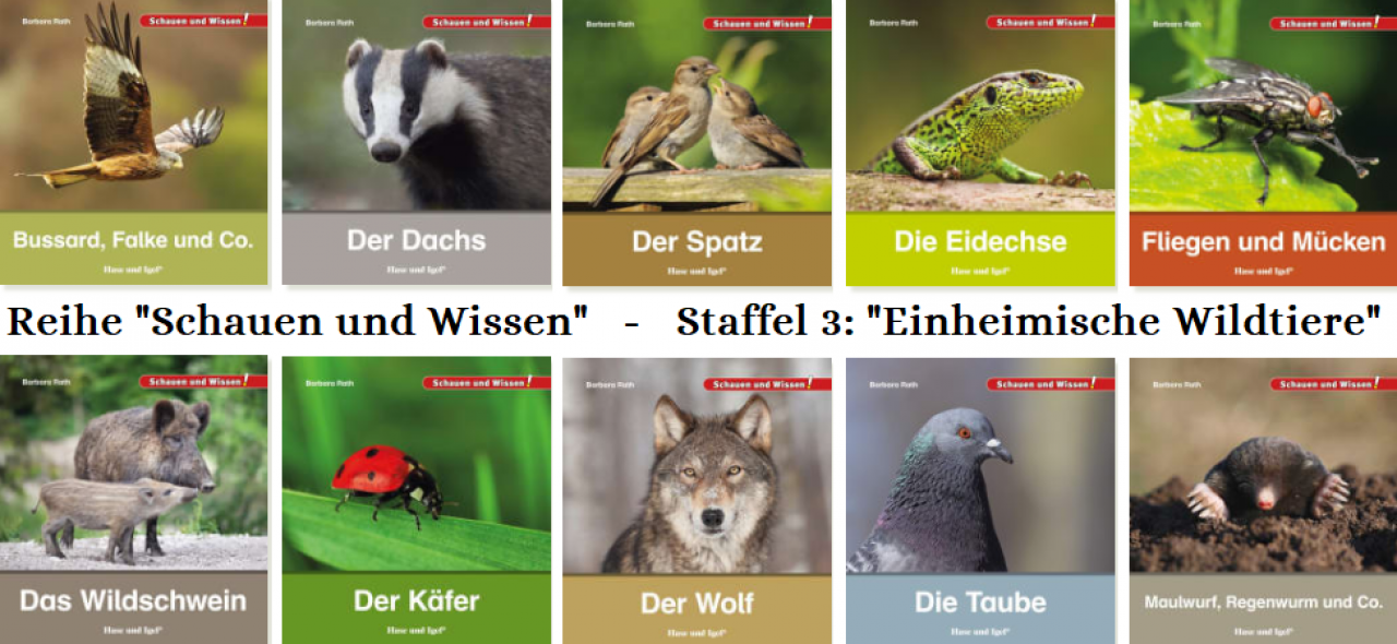 Kindersachbuch Natur