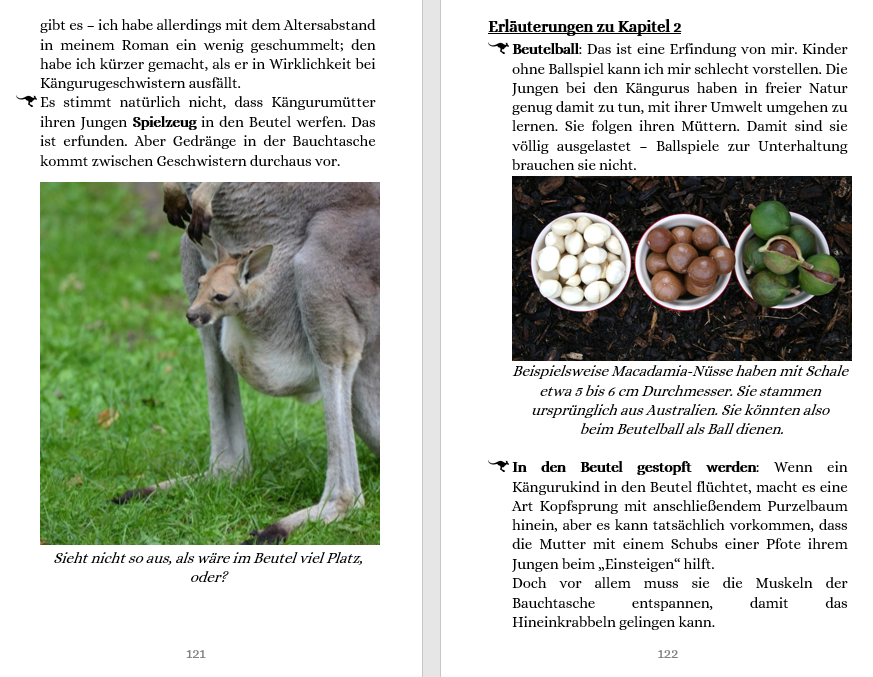 Faktencheck zu „Sid“ – Känguru-Jungtier & Macadamianüsse erklärt 📘🦘🌰 Zweiteiliger Ausschnitt aus den Bio-Infos im Anhang zum Roman „Sid“ von Barbara Rath: Links ein Känguru-Jungtier, das aus dem Beutel seiner Mutter blickt, rechts drei Bilder von Macadamianüssen – Kinder erfahren hier, was im Buch real ist und was Fiktion, und entwickeln so spielerisch Medienkompetenz.